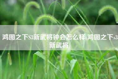 鸿图之下S3新武将钟会怎么样(鸿图之下s3新武将)