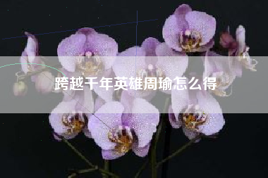 跨越千年英雄周瑜怎么得