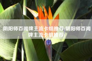 阴阳师百闻牌主流卡组推荐(阴阳师百闻牌主流卡组推荐)