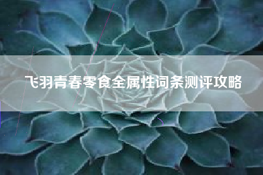 飞羽青春零食全属性词条测评攻略
