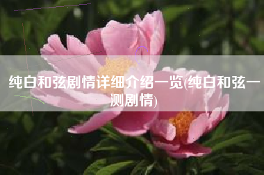 纯白和弦剧情详细介绍一览(纯白和弦一测剧情)