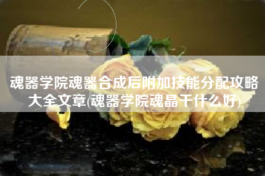 魂器学院魂器合成后附加技能分配攻略大全文章(魂器学院魂晶干什么好)