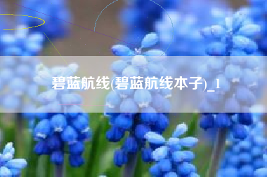 碧蓝航线(碧蓝航线本子)_1