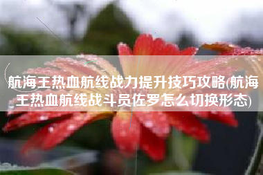 航海王热血航线战力提升技巧攻略(航海王热血航线战斗员佐罗怎么切换形态)
