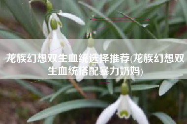 龙族幻想双生血统选择推荐(龙族幻想双生血统搭配暴力奶妈)