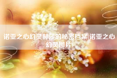 诺亚之心幻灵赫莎的秘密档案(诺亚之心幻灵图片)