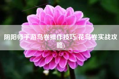 阴阳师手游鸟卷操作技巧(花鸟卷实战攻略)