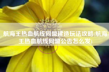 航海王热血航线同盟建造玩法攻略(航海王热血航线同盟公告怎么发)