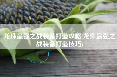 龙珠最强之战装备打造攻略(龙珠最强之战装备打造技巧)