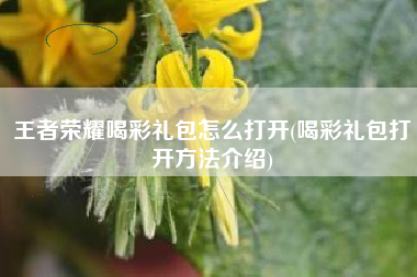 王者荣耀喝彩礼包怎么打开(喝彩礼包打开方法介绍)