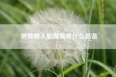 绝地兽人影魔需要什么装备