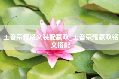 王者荣耀铭文装配嬴政_王者荣耀嬴政铭文搭配