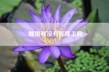 醒图有没有克隆工具