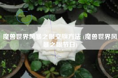 魔兽世界风暴之眼交旗方法 (魔兽世界风暴之眼节日)