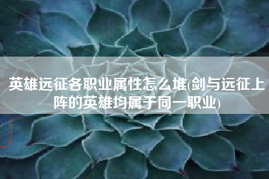 英雄远征各职业属性怎么堆(剑与远征上阵的英雄均属于同一职业)