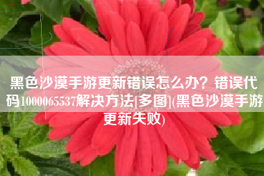 黑色沙漠手游更新错误怎么办？错误代码1000065537解决方法[多图](黑色沙漠手游更新失败)