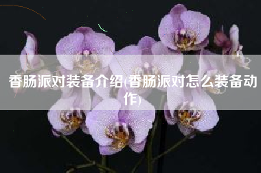 香肠派对装备介绍(香肠派对怎么装备动作)