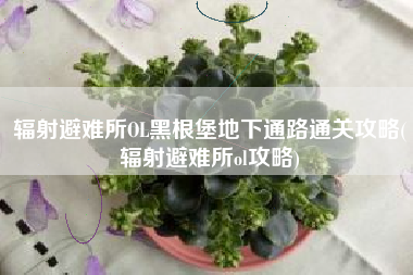 辐射避难所OL黑根堡地下通路通关攻略(辐射避难所ol攻略)