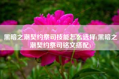 黑暗之潮契约祭司技能怎么选择(黑暗之潮契约祭司铭文搭配)