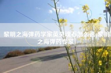 黎明之海弹药学家英灵魂石怎么选(黎明之海弹药专家)