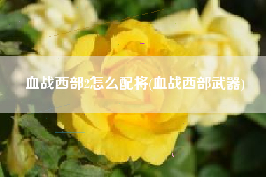 血战西部2怎么配将(血战西部武器)