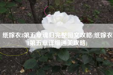 纸嫁衣3第五章魂归完整图文攻略(纸嫁衣1第五章详细通关攻略)