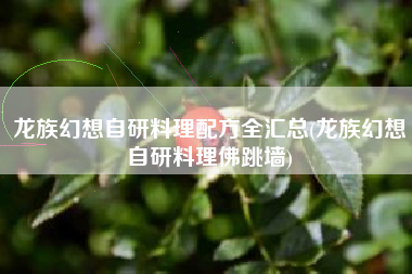 龙族幻想自研料理配方全汇总(龙族幻想自研料理佛跳墙)