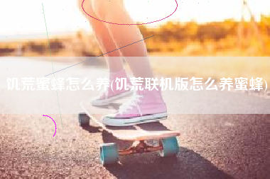 饥荒蜜蜂怎么养(饥荒联机版怎么养蜜蜂)