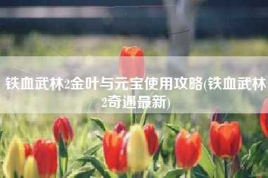 铁血武林2金叶与元宝使用攻略(铁血武林2奇遇最新)