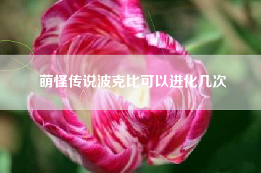 萌怪传说波克比可以进化几次