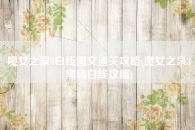 魔女之泉4白线图文通关攻略(魔女之泉3黑转白线攻略)