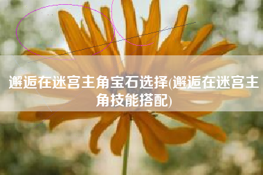邂逅在迷宫主角宝石选择(邂逅在迷宫主角技能搭配)