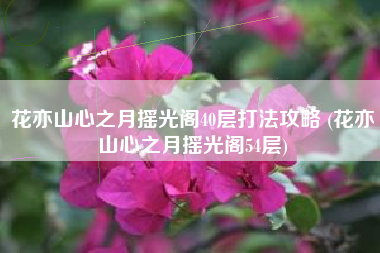 花亦山心之月摇光阁40层打法攻略 (花亦山心之月摇光阁54层)