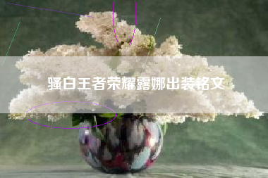 骚白王者荣耀露娜出装铭文