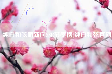 纯白和弦萌新向SSR节奏榜(纯白和弦官网)