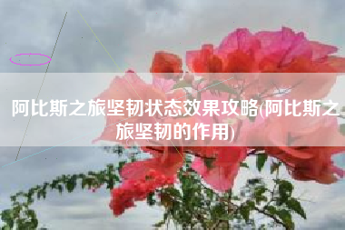阿比斯之旅坚韧状态效果攻略(阿比斯之旅坚韧的作用)