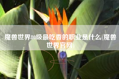 魔兽世界80级最吃香的职业是什么(魔兽世界官网)