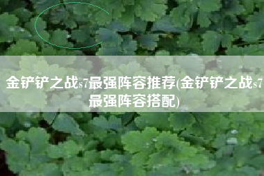 金铲铲之战s7最强阵容推荐(金铲铲之战s7最强阵容搭配)