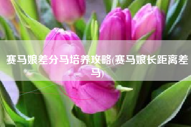 赛马娘差分马培养攻略(赛马娘长距离差马)