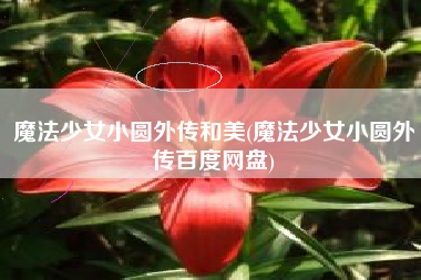 魔法少女小圆外传和美(魔法少女小圆外传百度网盘)