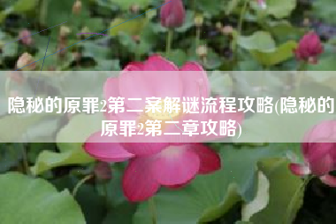隐秘的原罪2第二案解谜流程攻略(隐秘的原罪2第二章攻略)