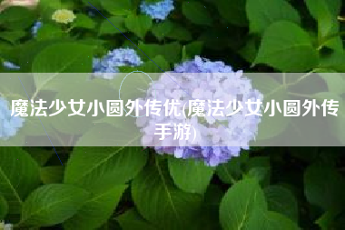 魔法少女小圆外传优(魔法少女小圆外传手游)