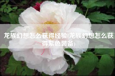 龙族幻想怎么获得经验(龙族幻想怎么获得紫色装备)