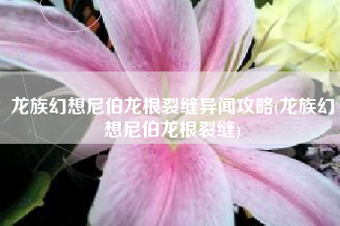 龙族幻想尼伯龙根裂缝异闻攻略(龙族幻想尼伯龙根裂缝)