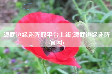 魂武边缘迷阵双平台上线(魂武边缘迷阵官网)