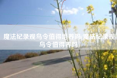 魔法纪录观鸟令值得培养吗(魔法纪录观鸟令值得养吗)