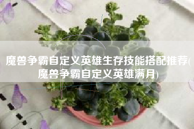 魔兽争霸自定义英雄生存技能搭配推荐(魔兽争霸自定义英雄满月)