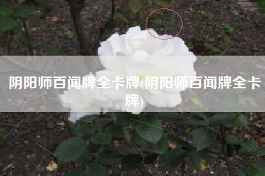 阴阳师百闻牌全卡牌(阴阳师百闻牌全卡牌)