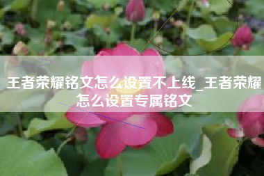 王者荣耀铭文怎么设置不上线_王者荣耀怎么设置专属铭文
