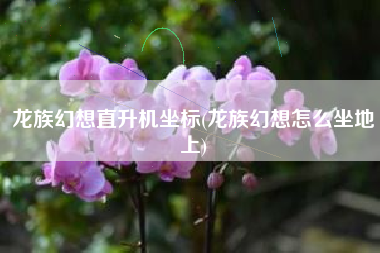 龙族幻想直升机坐标(龙族幻想怎么坐地上)